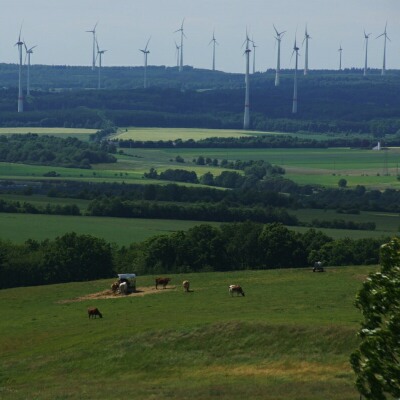 10. Es gibt in Hessen nur einen einzigen erfolgreichen Bürgerentscheid gegen Windkraft